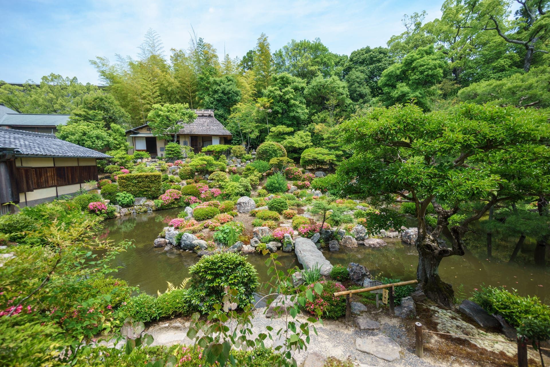 AdobeStock_260011546